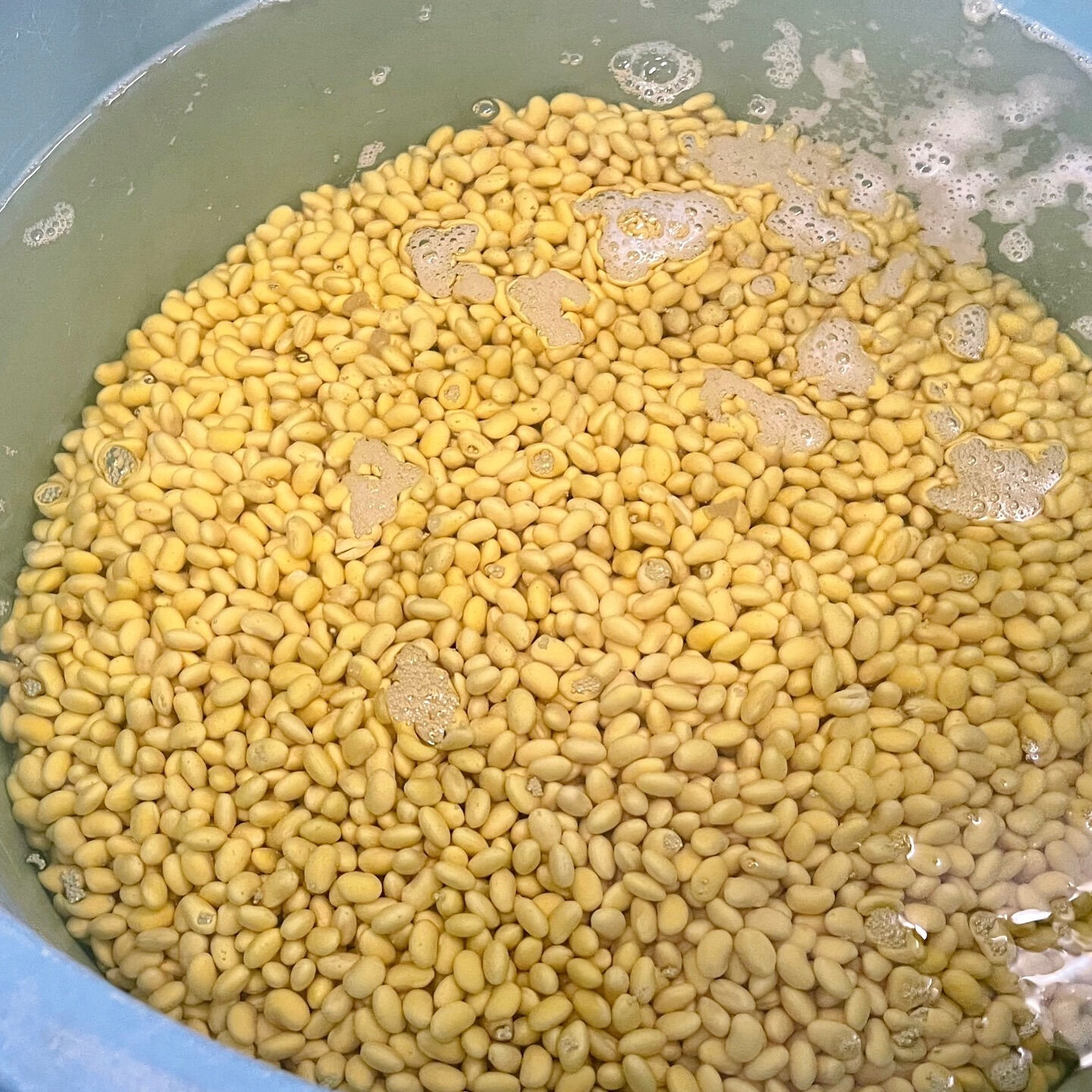 🌾